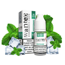Wanted - Pfefferminz 10 ml Nikotinsalz-Liquid