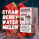 Vozol Vista Plug EZ Pod - Strawberry Watermelon