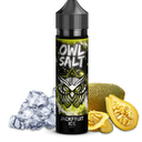 Owl Salt Longfill - Jackfruit Ice