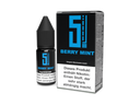 5EL - Berry Mint Nikotinsalz Liquid 10ml