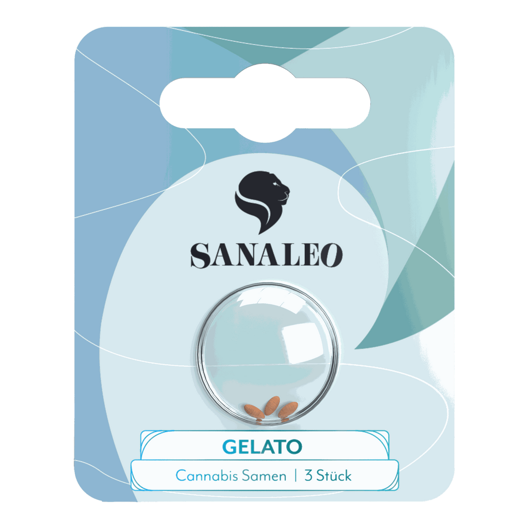 Sanaleo Seeds - Gelato