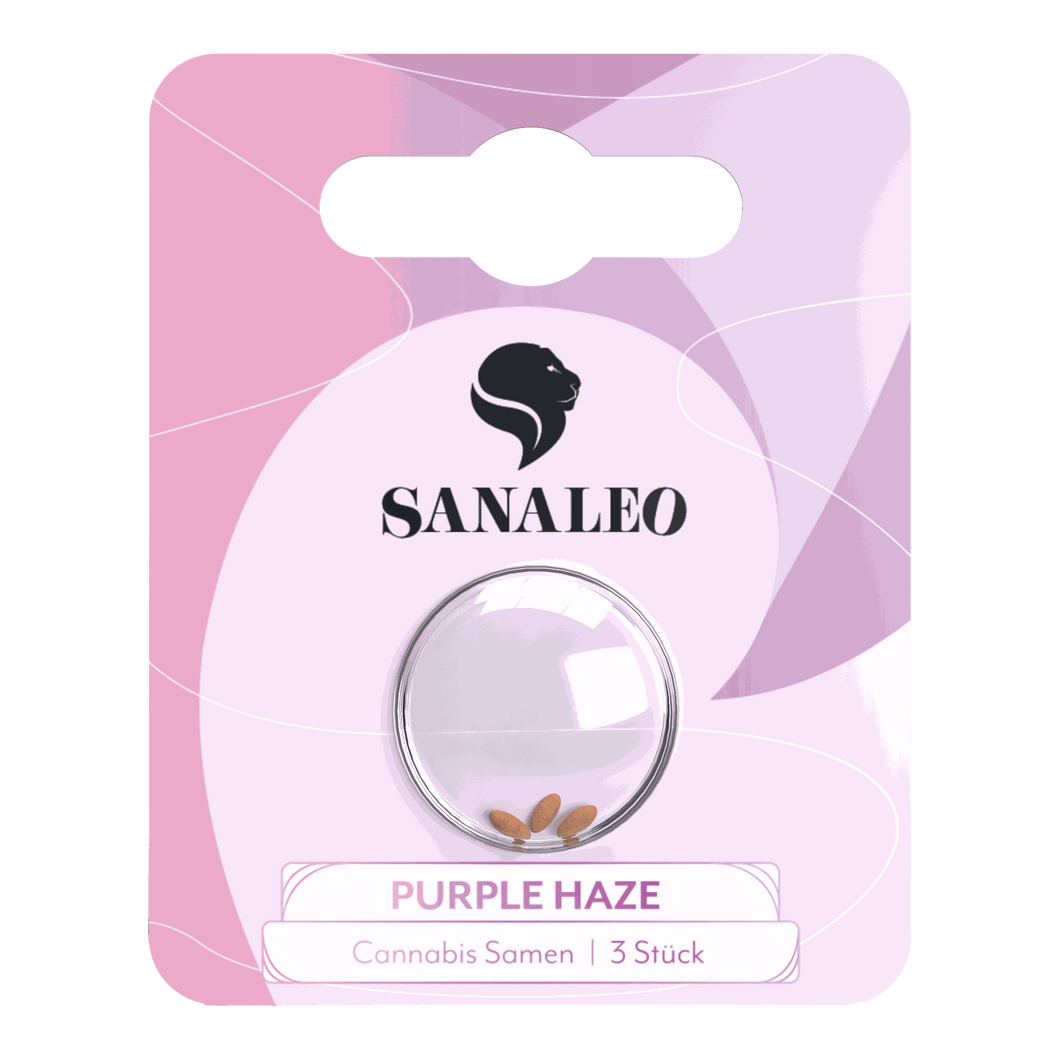 Sanaleo Seeds - Purple Haze