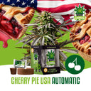 IGrowCan - Cherry Pie USA