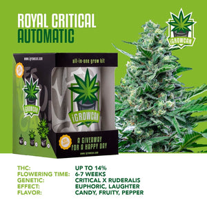 IGrowCan - Royal Critical