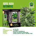 IGrowCan - Royal Kush